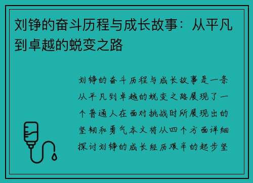 刘铮的奋斗历程与成长故事：从平凡到卓越的蜕变之路