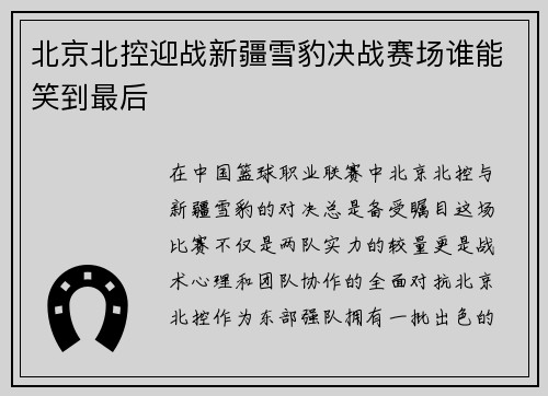 北京北控迎战新疆雪豹决战赛场谁能笑到最后